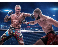 PlayStation EA Sports UFC 6 - 1529959 - zdjęcie 4
